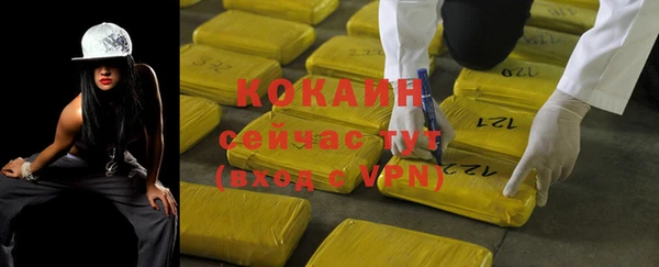 ГАЛЛЮЦИНОГЕННЫЕ ГРИБЫ Нея