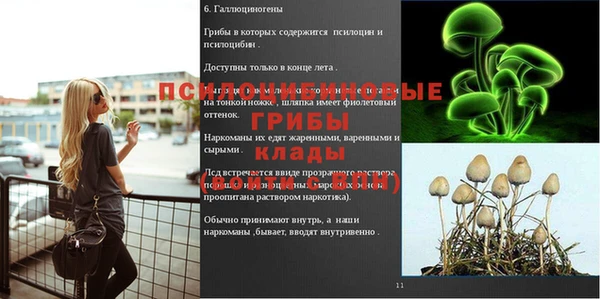 мяу мяу мука Нефтегорск