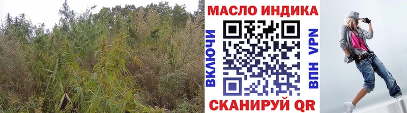 Купить  Александровск-Сахалинский  ТГК вейп 
