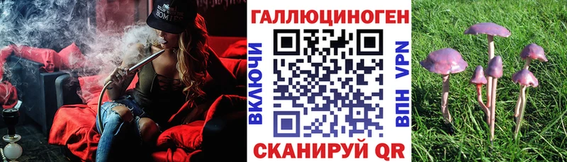 Галлюциногенные грибы MAGIC MUSHROOMS  Купить  Александровск-Сахалинский 